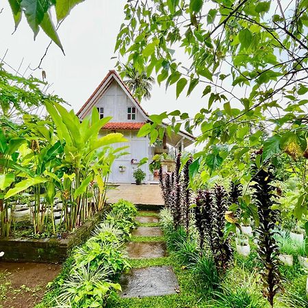 Pondok Is Oke Villa Scenic View บันยูวังงี ภายนอก รูปภาพ