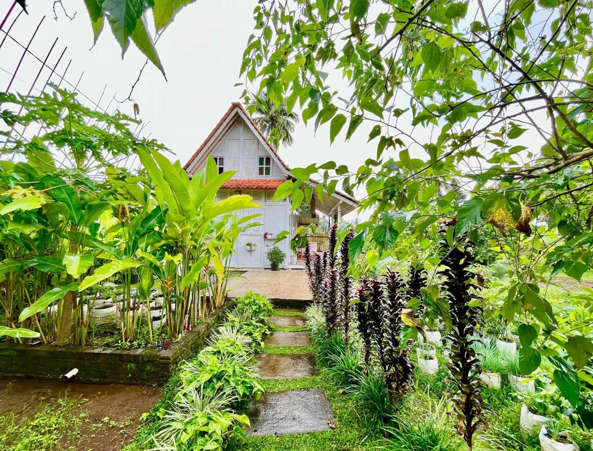 Pondok Is Oke Villa Scenic View บันยูวังงี ภายนอก รูปภาพ