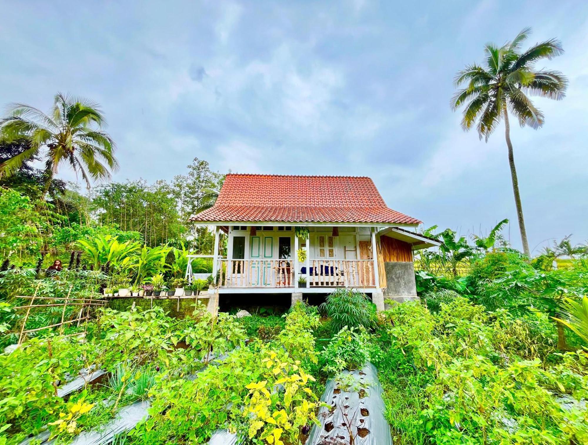 Pondok Is Oke Villa Scenic View บันยูวังงี ภายนอก รูปภาพ