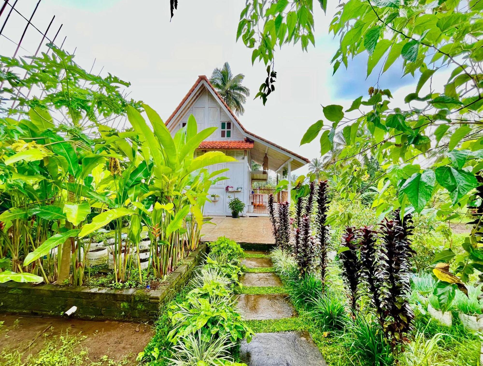 Pondok Is Oke Villa Scenic View บันยูวังงี ภายนอก รูปภาพ