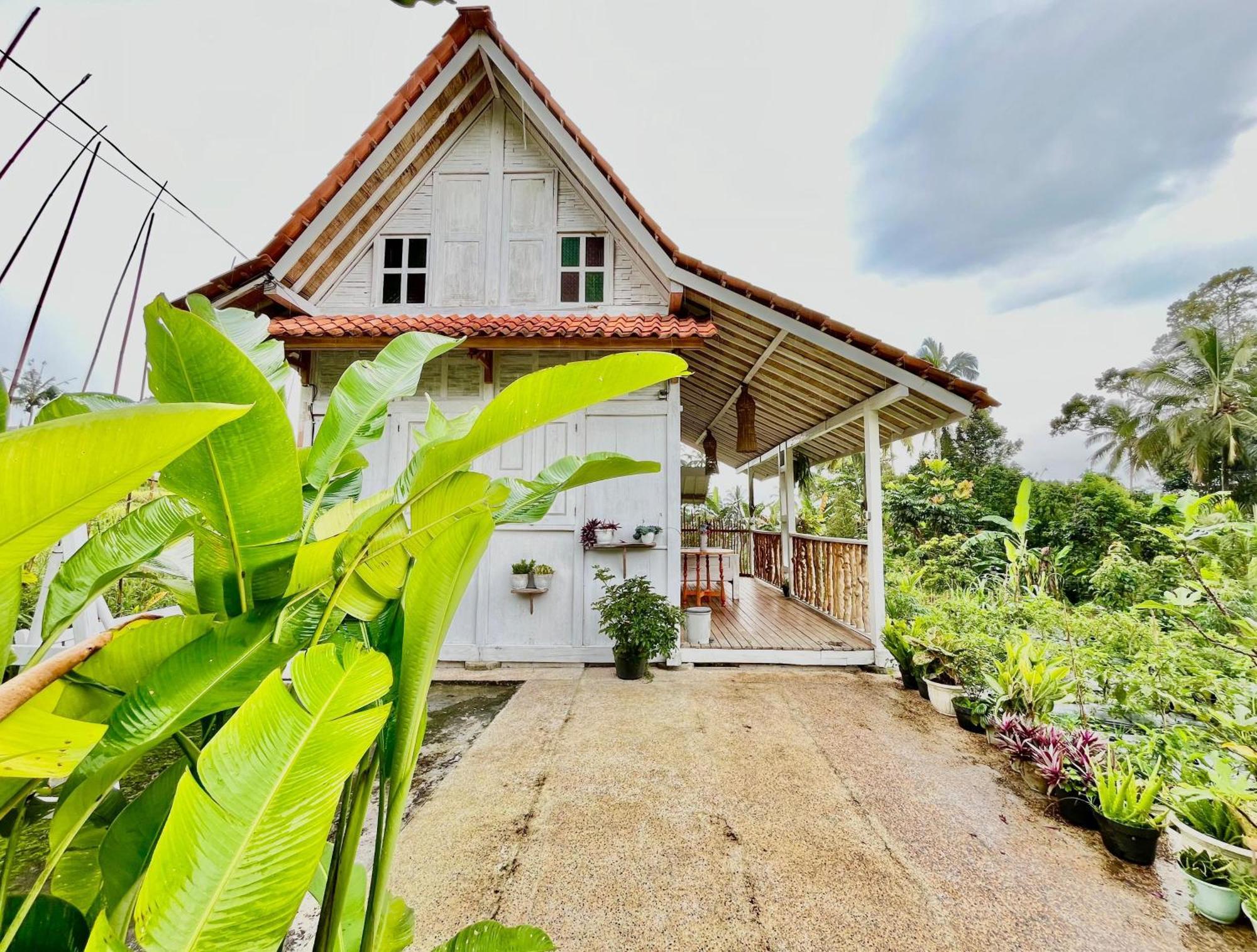 Pondok Is Oke Villa Scenic View บันยูวังงี ภายนอก รูปภาพ