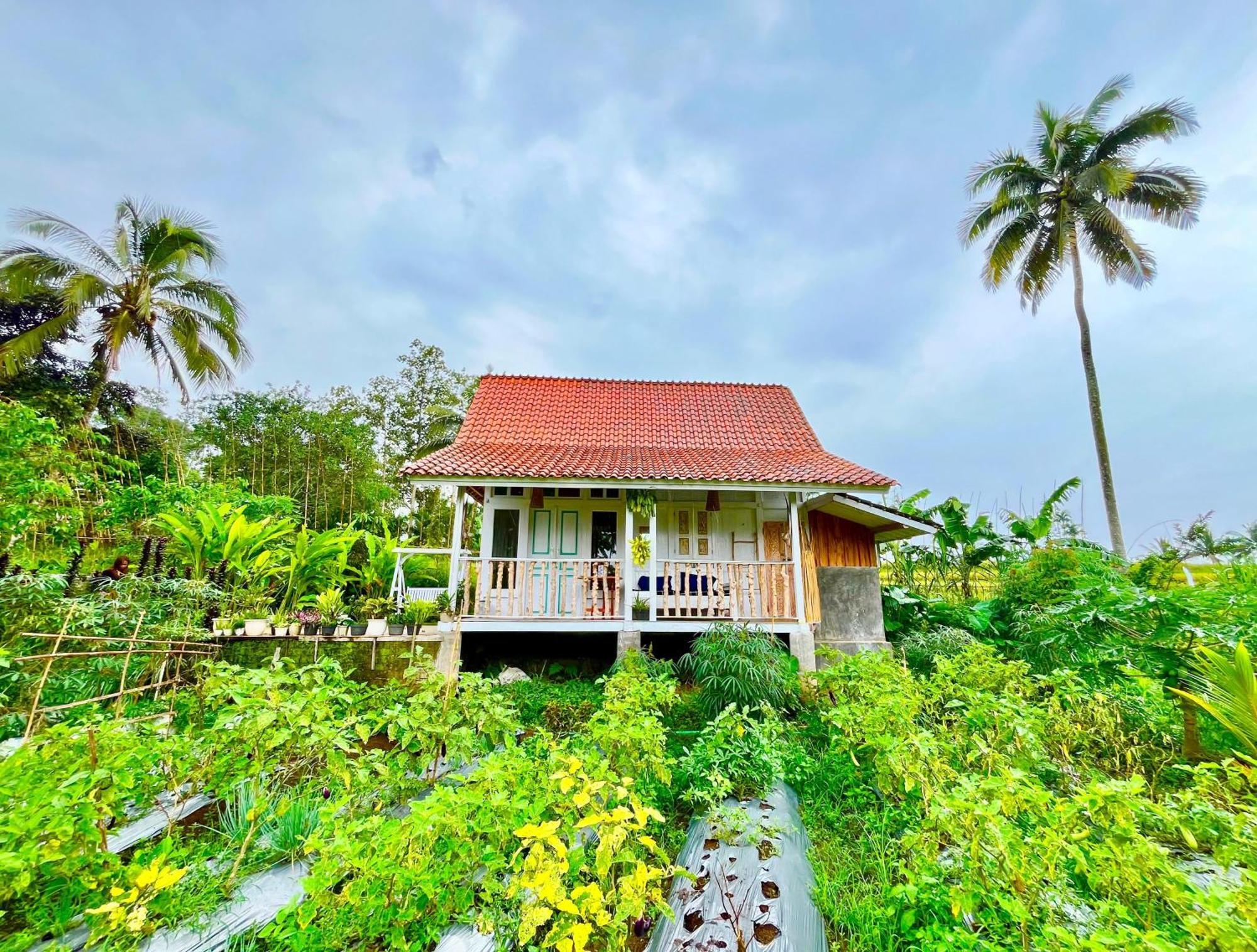 Pondok Is Oke Villa Scenic View บันยูวังงี ภายนอก รูปภาพ