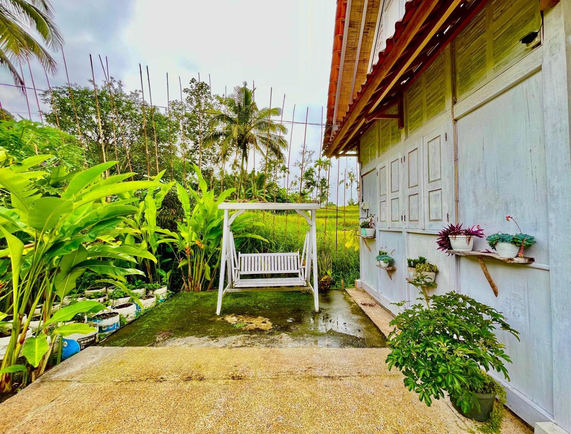Pondok Is Oke Villa Scenic View บันยูวังงี ภายนอก รูปภาพ