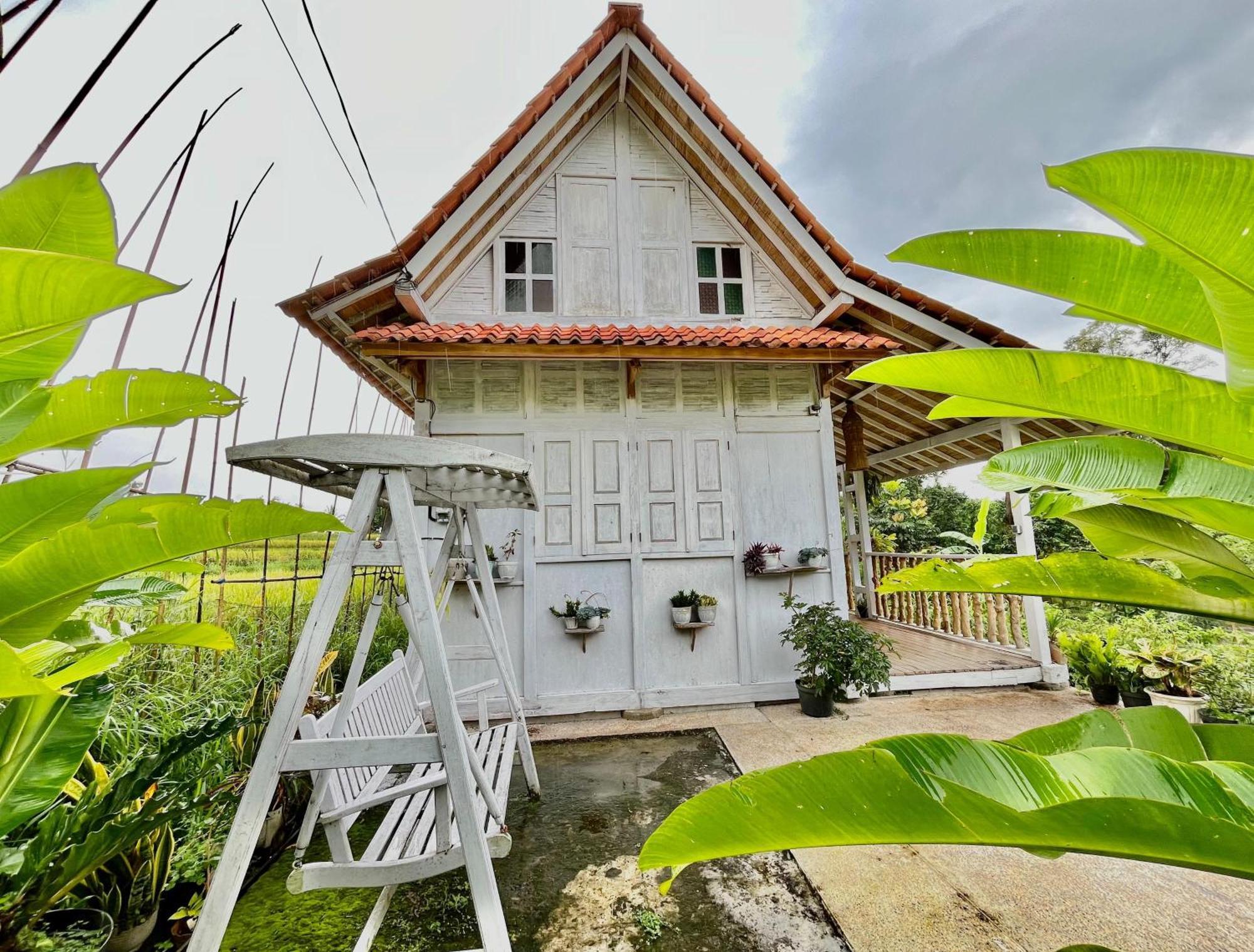 Pondok Is Oke Villa Scenic View บันยูวังงี ภายนอก รูปภาพ