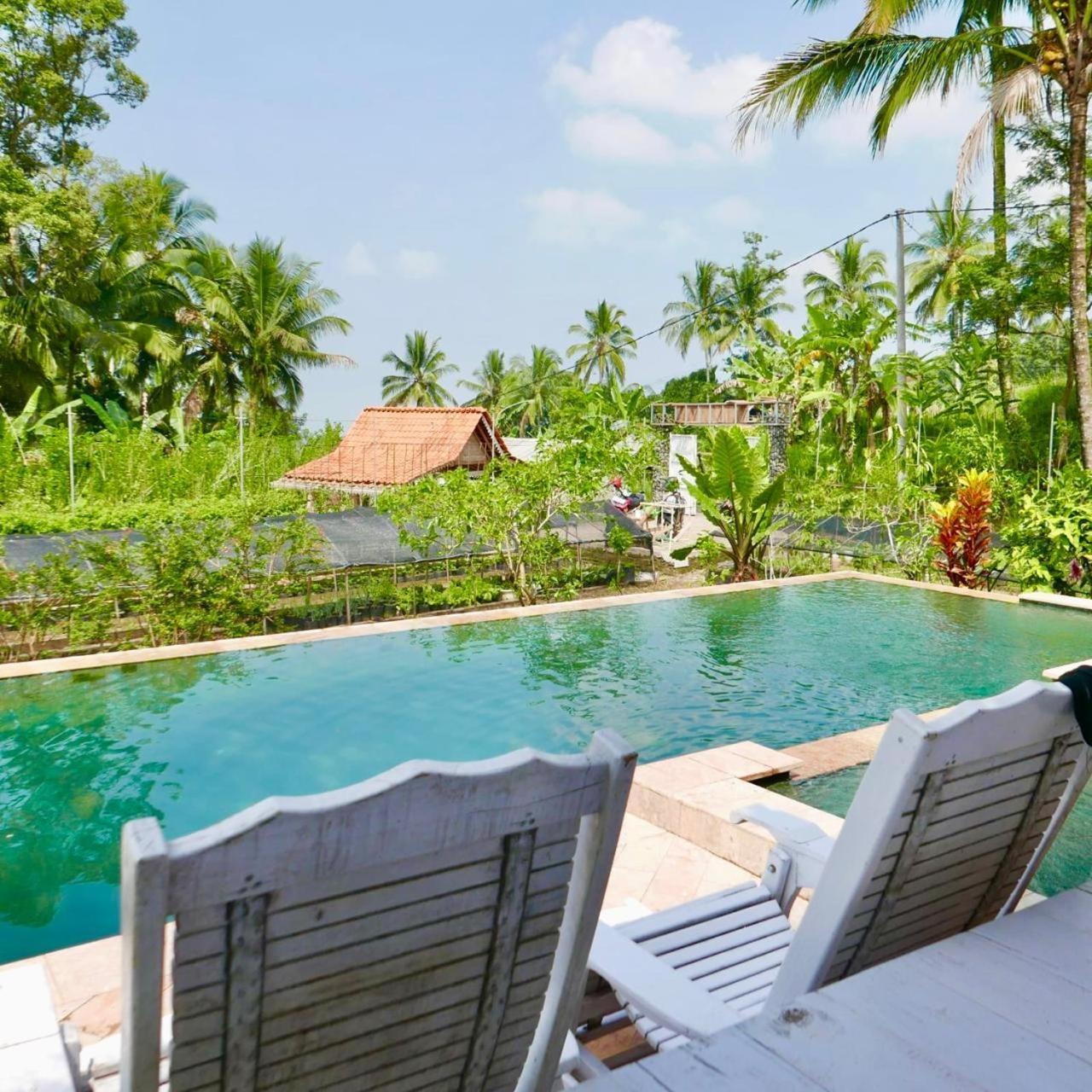 Pondok Is Oke Villa Scenic View บันยูวังงี ภายนอก รูปภาพ