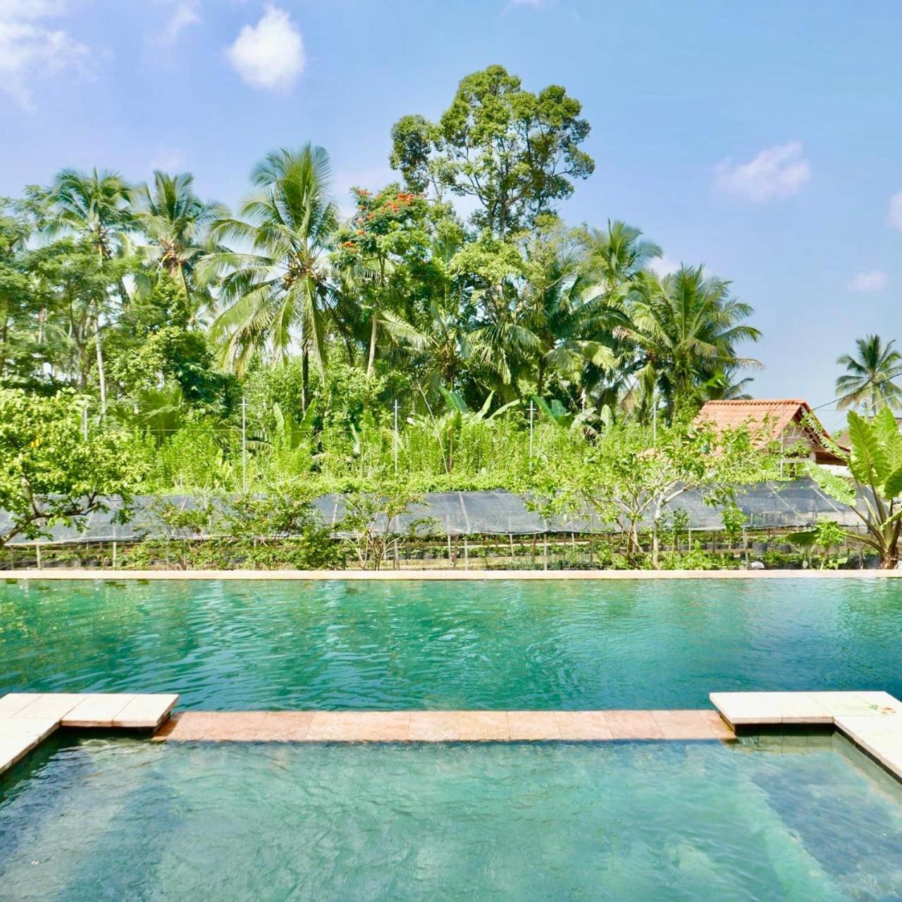 Pondok Is Oke Villa Scenic View บันยูวังงี ภายนอก รูปภาพ