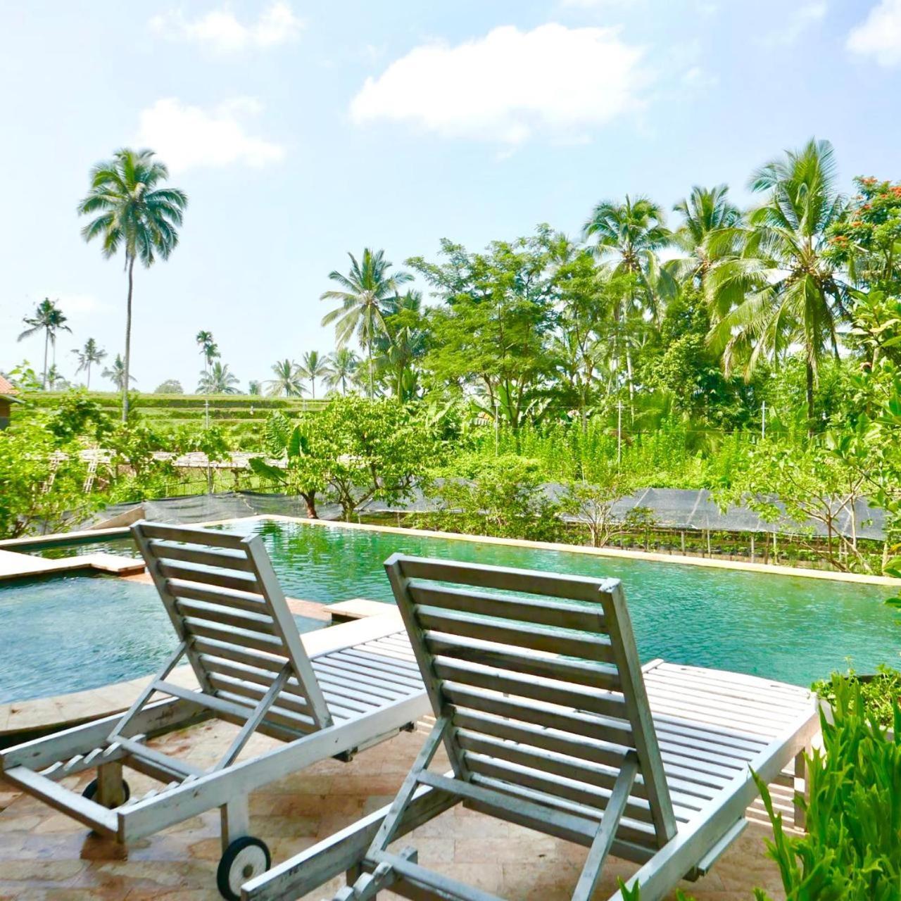 Pondok Is Oke Villa Scenic View บันยูวังงี ภายนอก รูปภาพ