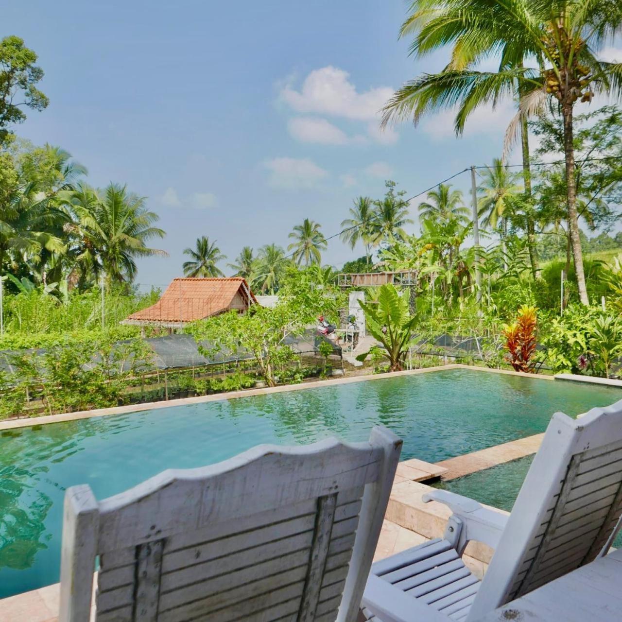 Pondok Is Oke Villa Scenic View บันยูวังงี ภายนอก รูปภาพ