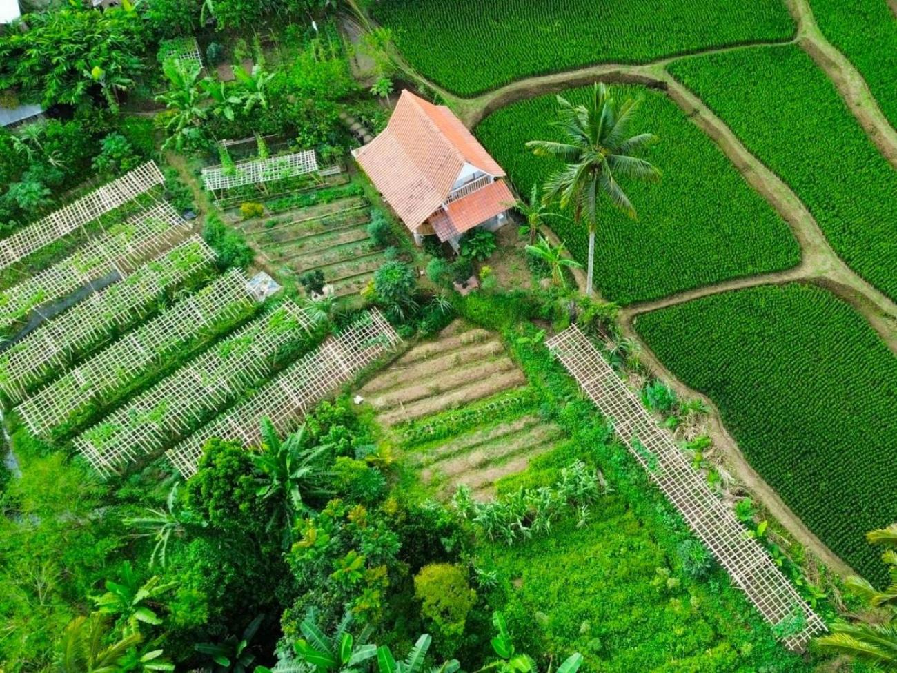 Pondok Is Oke Villa Scenic View บันยูวังงี ภายนอก รูปภาพ