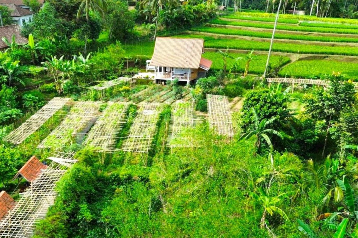 Pondok Is Oke Villa Scenic View บันยูวังงี ภายนอก รูปภาพ