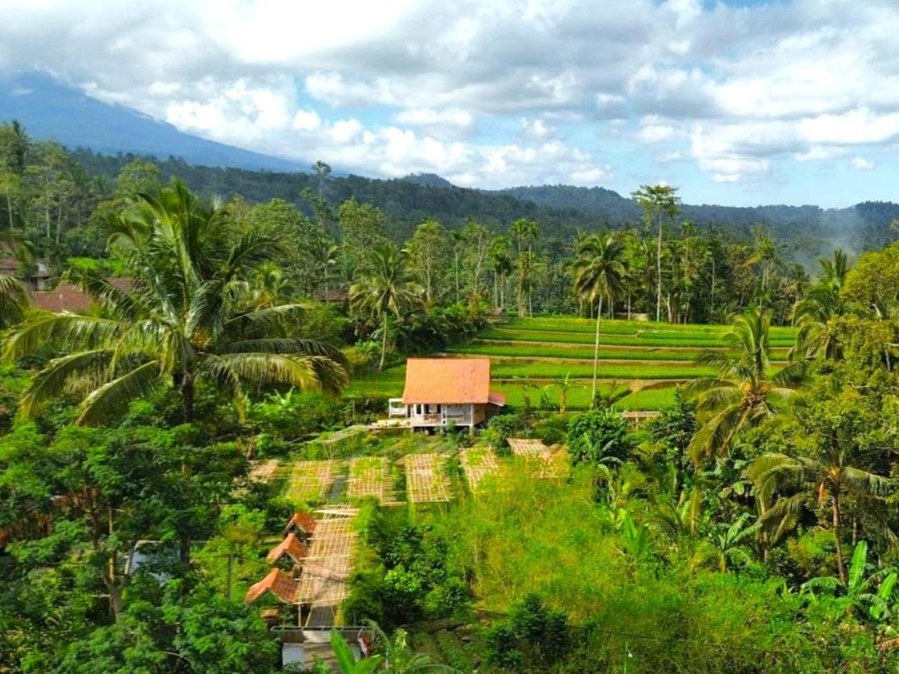 Pondok Is Oke Villa Scenic View บันยูวังงี ภายนอก รูปภาพ