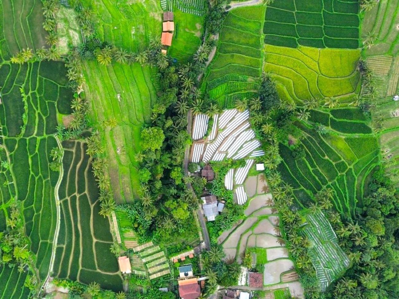 Pondok Is Oke Villa Scenic View บันยูวังงี ภายนอก รูปภาพ